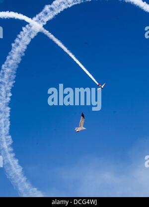 Chicago, Illinois, USA. Août 16, 2013. Une mouette est considérée comme l'équipe de voltige Aeroshell pratique pour l'eau et de l'Air Show le vendredi 16 août 2013 à Chicago, Illinois. Ringo : crédit Chiu/ZUMAPRESS.com/Alamy Live News Banque D'Images