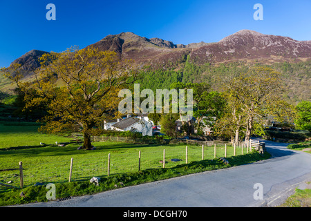 Voir à travers champs vers Buttermere village, Parc National de Lake District, Cumbria, Angleterre, Royaume-Uni, Europe. Banque D'Images