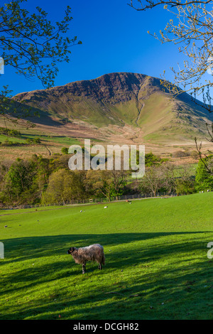 Keskedale Valley, Parc National de Lake District, Cumbria, Angleterre, Royaume-Uni, Europe. Banque D'Images