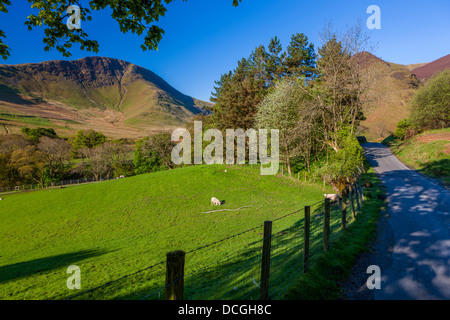 Keskedale Valley, Parc National de Lake District, Cumbria, Angleterre, Royaume-Uni, Europe. Banque D'Images