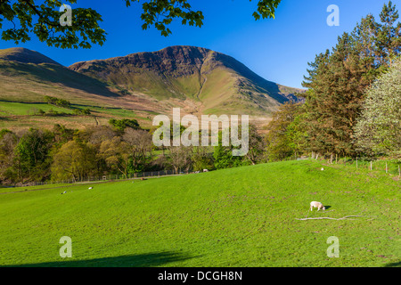 Keskedale Valley, Parc National de Lake District, Cumbria, Angleterre, Royaume-Uni, Europe. Banque D'Images