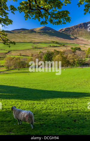 Keskedale Valley, Parc National de Lake District, Cumbria, Angleterre, Royaume-Uni, Europe. Banque D'Images