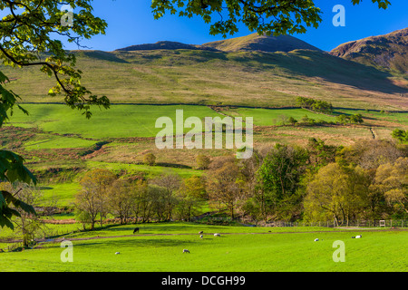 Keskedale Valley, Parc National de Lake District, Cumbria, Angleterre, Royaume-Uni, Europe. Banque D'Images