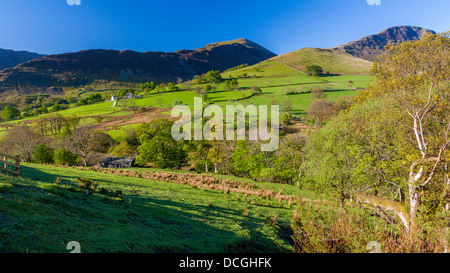 Keskedale Valley, Parc National de Lake District, Cumbria, Angleterre, Royaume-Uni, Europe. Banque D'Images