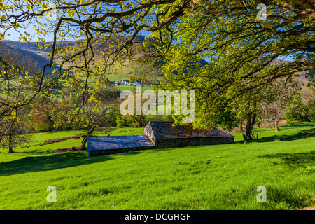 Keskedale Valley, Parc National de Lake District, Cumbria, Angleterre, Royaume-Uni, Europe. Banque D'Images