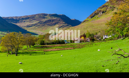 Keskedale Valley, Parc National de Lake District, Cumbria, Angleterre, Royaume-Uni, Europe. Banque D'Images