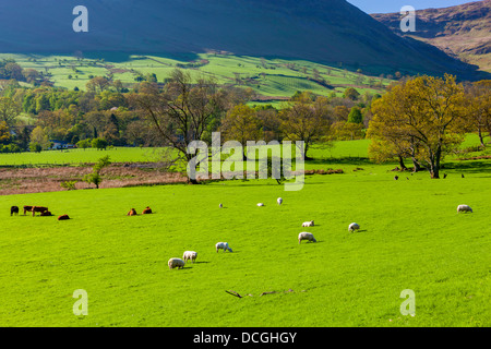 Keskedale Valley, Parc National de Lake District, Cumbria, Angleterre, Royaume-Uni, Europe. Banque D'Images