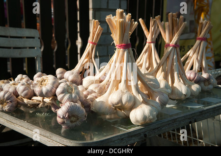 L'ail pour la vente au marché de fermiers à Wadowice, Pologne. Banque D'Images