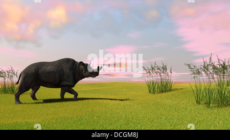 Brontotherium paissant dans les prairies préhistoriques. Banque D'Images