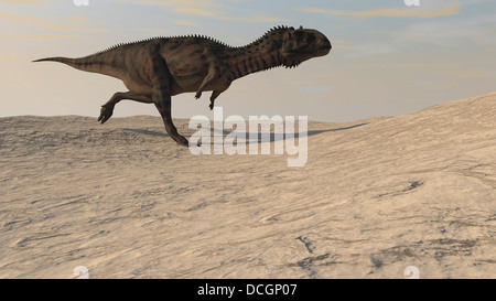 Majungasaurus à travers un désert aride. Banque D'Images