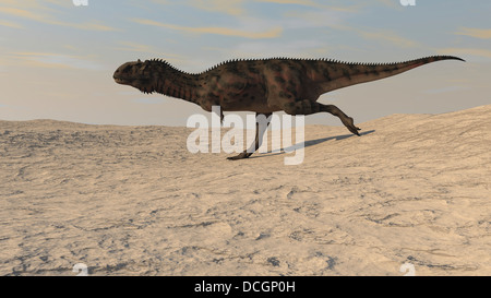 Majungasaurus à travers un désert aride. Banque D'Images