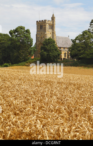 Horsmonden Kent de l'Église au temps de la récolte, England UK Banque D'Images