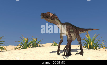 Utahraptor dans un paysage désertique. Banque D'Images