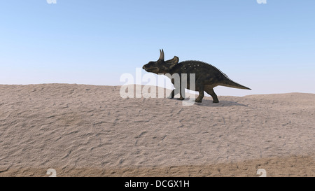 Triceratops de marcher à travers un paysage aride. Banque D'Images
