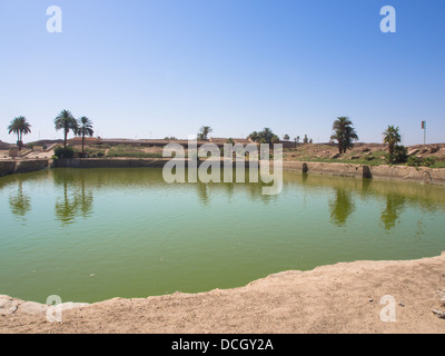 Le lac Sacré de Karnak temple, Luxor, Egypt Banque D'Images