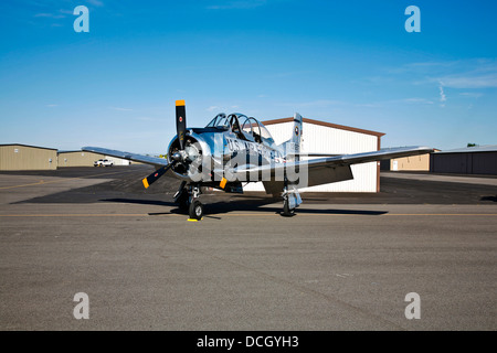 North American T-28 Trojan à l'affiche au Musée de l'air de Warhawk, Nampa, Idaho. Banque D'Images