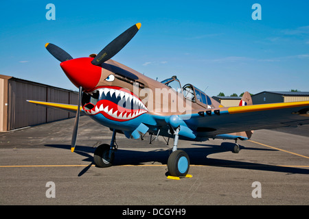 Curtiss P-40E Warhawk Warhawk en exposition au Musée de l'air, Nampa, Idaho. Banque D'Images