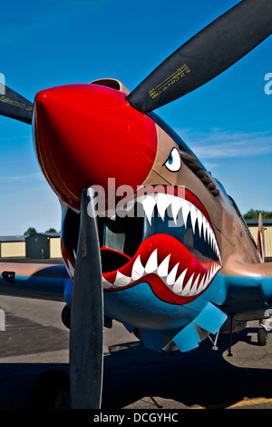 Curtiss P-40E Warhawk Warhawk en exposition au Musée de l'air, Nampa, Idaho. Banque D'Images