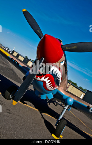 Curtiss P-40E Warhawk Warhawk en exposition au Musée de l'air, Nampa, Idaho. Banque D'Images