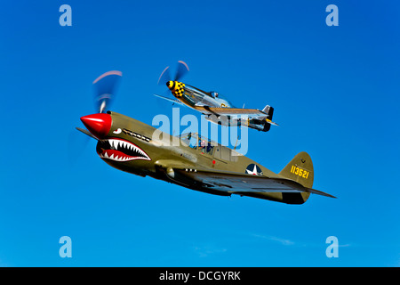 Un North American P-51D Mustang Kimberly Kaye et un Curtiss P-40E Warhawk en vol près de Chino, en Californie. Banque D'Images