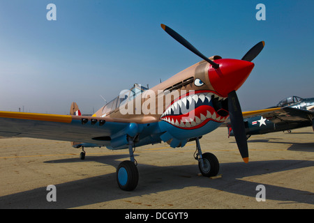 Un Curtiss P-40E Warhawk Warhawk en exposition au Musée de l'air, Nampa, Idaho. Banque D'Images