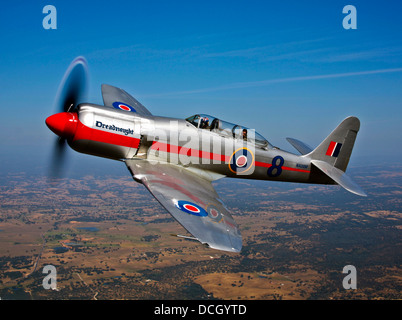 Un Hawker Sea Fury T Mk.20 aéronefs en vol au dessus de Dreadnought Ione en Californie. Banque D'Images