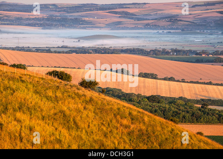 Les terres agricoles au pied de Beacon Firle Banque D'Images