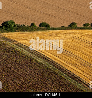 Les terres agricoles au pied de Beacon Firle Banque D'Images