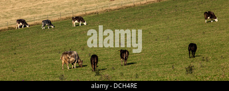 Les terres agricoles au pied de Beacon Firle Banque D'Images