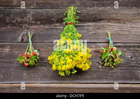 Tutsan et deux bouquets de fraises sauvages avec red berry sur l'ancien mur de la grange en bois Banque D'Images
