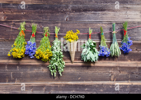 De nombreux bouquets d'herbes médicales diverses d'été sur l'ancien mur de ferme en bois Banque D'Images