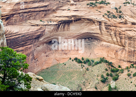 La 'Mfactices Cave' ruines Anasazi, vu de l'Amérique du Rim au Canyon de Chelly National Monument, Chinle, Arizona, USA Banque D'Images