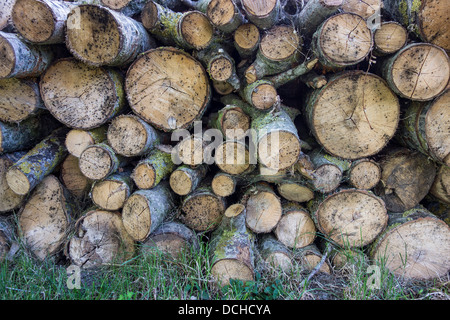 Pile de bois de sciage Log Pile à Combustible d'hiver Banque D'Images