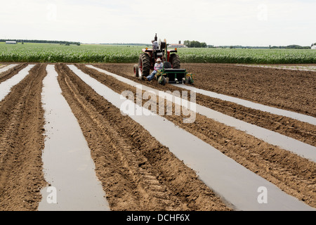 Pose de bâches en plastique en préparation pour la plantation des concombres. Banque D'Images