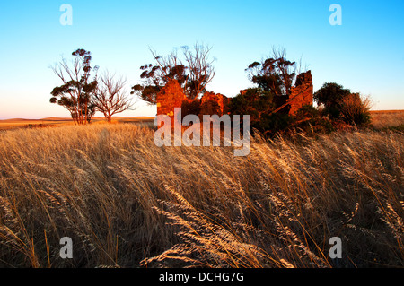 Ancienne maison de ferme homestead se trouve au milieu de l'abandon d'un paddock dans le milieu au nord de l'Australie du Sud Banque D'Images