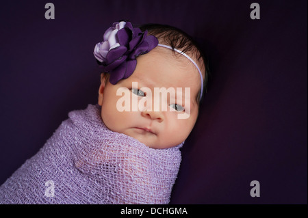 Naissance bebe Fille en Lavande et violet Banque D'Images