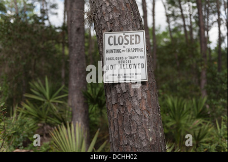 La Forêt nationale d'Ocala, Floride, pas de chasse, piégeage posté panneau d'avertissement. Banque D'Images