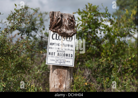 La Forêt nationale d'Ocala, Floride, pas de chasse, piégeage envahie posté panneau d'avertissement. Banque D'Images