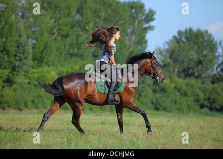 Dame-cavalier galopant à cheval à pleine vitesse à travers un pré vert Banque D'Images