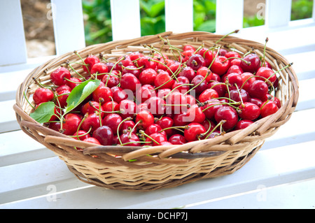 Un panier plein de cerises fraîches. Banque D'Images