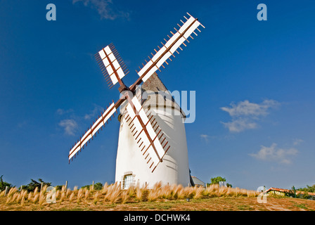 Le moulin de la Conchette se trouve en face du port de Jard sur Mer en Vendée de France Banque D'Images