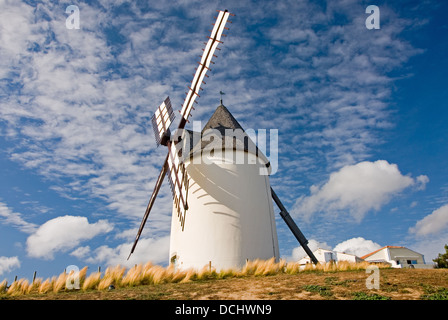 Le moulin de la Conchette se trouve en face du port de Jard sur Mer. Banque D'Images