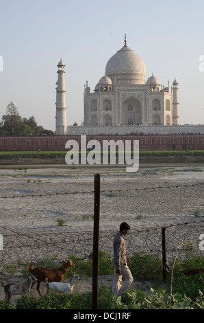 Les barbelés de l'autre côté de la rivière de Taj Mahal mausolée en marbre blanc - Agra (Inde), site du patrimoine mondial de l'UNESCO Banque D'Images