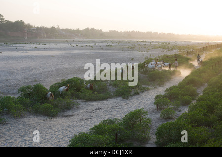 Les jeunes éleveurs de chèvres sur les rives de la rivière Yamuna au crépuscule / Crépuscule. Agra, Inde Banque D'Images