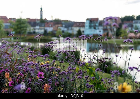 Tierschenreuth landesgartenschau, Allemagne 2013 Banque D'Images