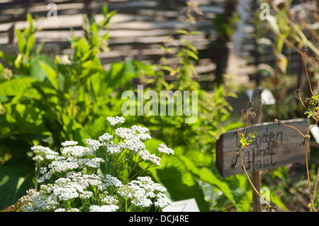 Tierschenreuth landesgartenschau, Allemagne 2013 Banque D'Images