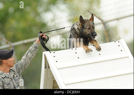 Le s.. Christopher Averill, 5e Escadron des Forces de sécurité de chien de travail militaire, mène son 5-year-old Sheppard allemand Banque D'Images