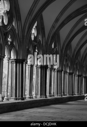 Image en noir et blanc de cloîtres de la cathédrale de Salisbury, Wiltshire Banque D'Images