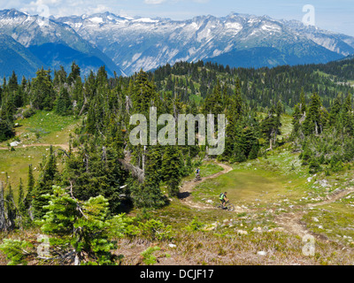 Deux vététistes sur Frisby Ridge, une haute montagne vtt Trail, près de Revelstoke, en Colombie-Britannique, Canada. Banque D'Images