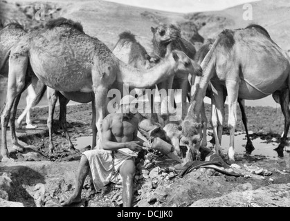 Bersabée et environs. La Bière (Saba). Wadi Shria. Arrosage des chameaux dans un 'Aba'. Bedouin vêtement extérieur, vers 1925 Banque D'Images